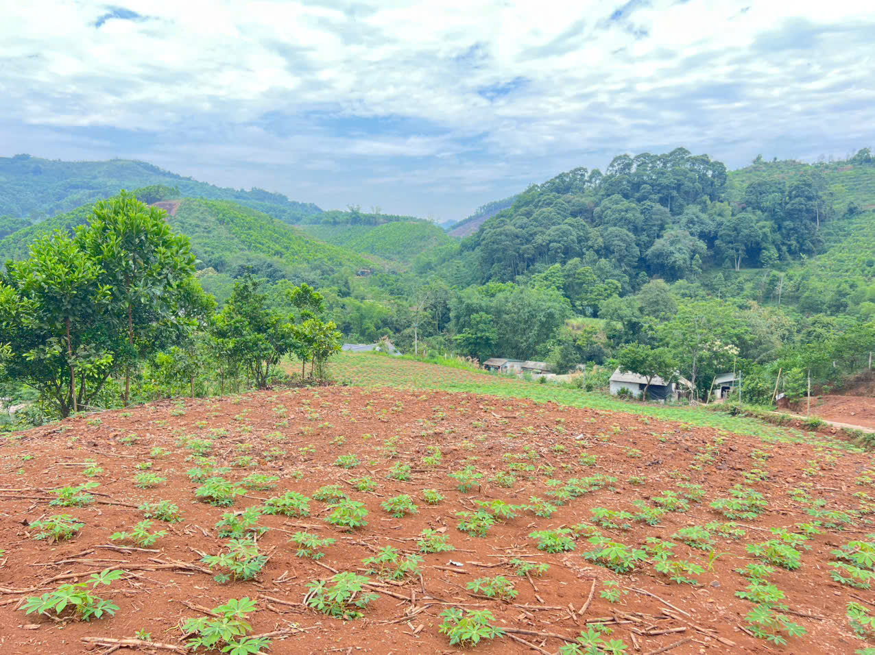 Bán 3330M_sẵn 400M thổ cư đất view thung lũng ruộng bậc thang siêu đẹp_Cao Phong Hoà Bình_1,x tỷ - Ảnh 4